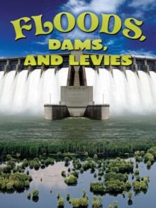 Floods, Dams, and Levees