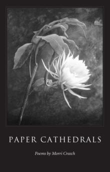 Paper Cathedrals