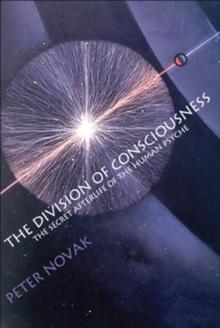 The Division of Consciousness : The Secret Afterlife of the Human Psyche