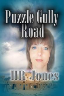 Puzzle Gully Road