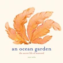 An Ocean Garden : The Secret Life of Seaweed