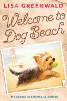 Welcome to Dog Beach (The Seagate Summers #1)