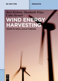 Wind Energy Harvesting : Micro-to-Small Scale Turbines