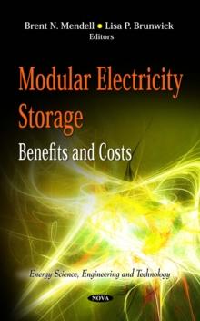 Modular Electricity Storage : Benefits and Costs