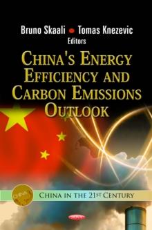 China's Energy Efficiency and Carbon Emissions Outlook