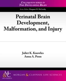 Perinatal Brain Development, Malformation, and Injury