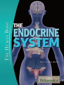 The Endocrine System