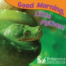 Good Morning, Little Python!