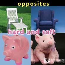 Opposites : Hard and Soft