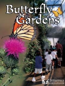 Butterfly Gardens