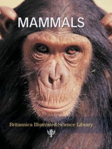 Britannica Illustrated Science Library