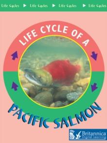 Pacific Salmon