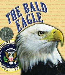 The Bald Eagle