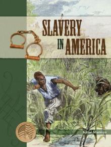 Slavery In America