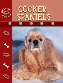 Cocker Spaniels