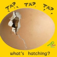 Tap, Tap, Tap... What's Hatching?