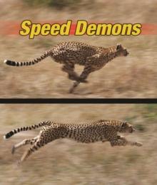 Speed Demons