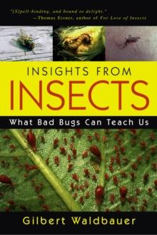 Insights From Insects : What Bad Bugs Can Teach Us