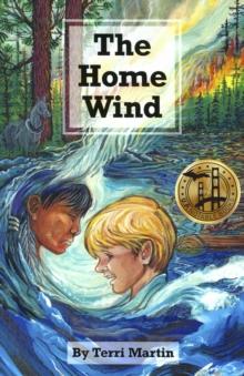 The Home Wind : A Novel