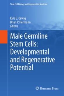 Male Germline Stem Cells: Developmental and Regenerative Potential