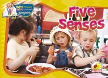 Five Senses