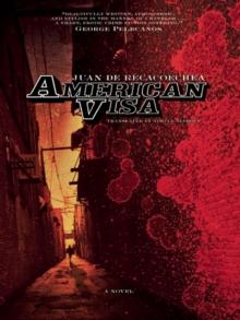 American Visa : A Novel