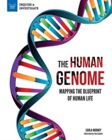 HUMAN GENOME