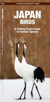 Japan Birds : A Folding Pocket Guide to Familiar Species