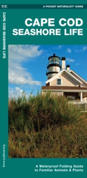 Cape Cod Seashore Life : A Waterproof Folding Guide to Familiar Animals & Plants