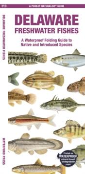 Delaware Freshwater Fishes : A Waterproof Folding Guide to Native and Introduced Species