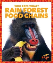 Rain Forest Food Chains