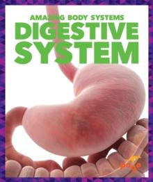 Digestive System