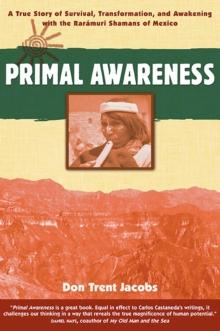 Primal Awareness : A True Story of Survival, Transformation, and Awakening with the Raramuri Shamans of Mexico