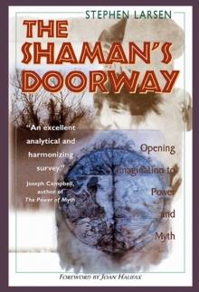 The Shaman's Doorway : Opening Imagination to Power and Myth