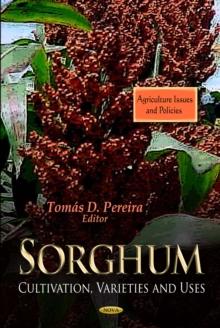 Sorghum : Cultivation, Varieties and Uses