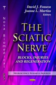 The Sciatic Nerve : Blocks, Injuries and Regeneration