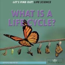 What Is a Life Cycle?