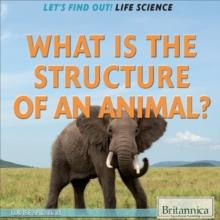 What Is the Structure of an Animal?