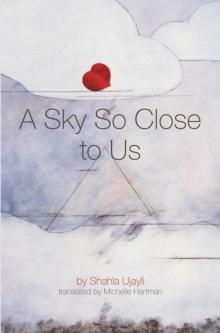 A Sky So Close to Us : A novel