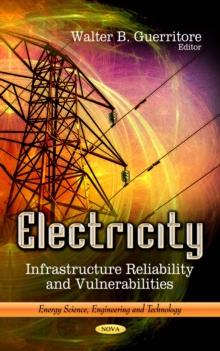 Electricity : Infrastructure Reliability and Vulnerabilities