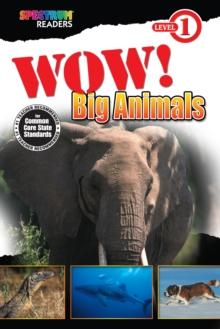 Wow! Big Animals : Level 1