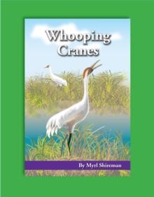 Whooping Cranes : Reading Level 3