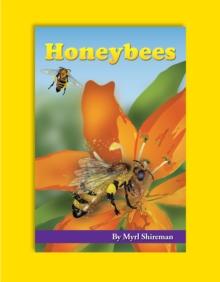 Honeybees : Reading Level 3