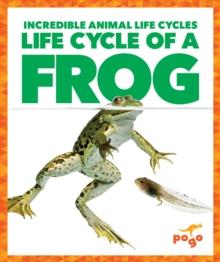 Life Cycle of a Frog