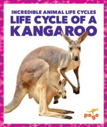 Life Cycle of a Kangaroo