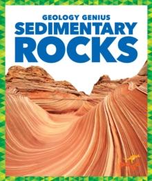 Sedimentary Rocks