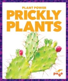 Prickly Plants