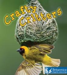 Crafty Critters