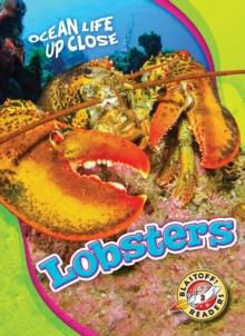 Lobsters