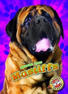 Mastiffs